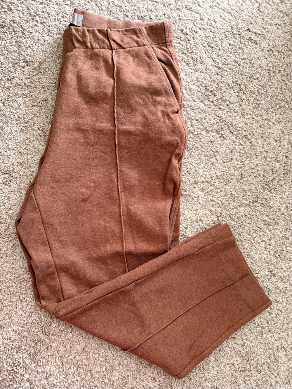 Everlane Dream Pull On Camel Brown Trousers